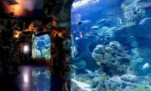 متحف بحري - الوطن بوست