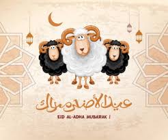 1 1 - الوطن بوست