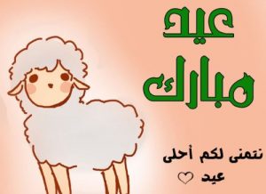 12763 - الوطن بوست