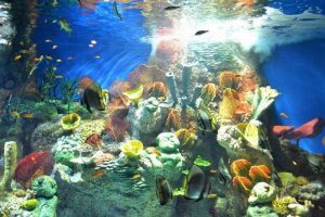 29b0773d ae77 40ab 9093 ef109a765dfc - الوطن بوست