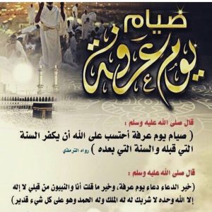 3518 - الوطن بوست