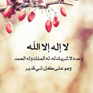 374c610117947b1e4e0e4bd6690e5ce0 - الوطن بوست