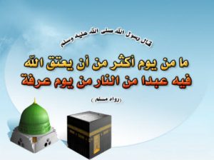 48 - الوطن بوست