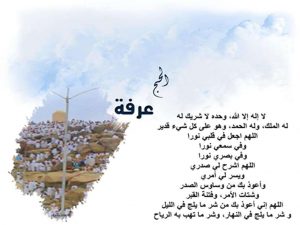 5 13 - الوطن بوست