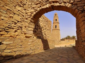 8243727453 2d1f8b152b b - الوطن بوست