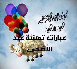 IMG 20190810 025051 - الوطن بوست