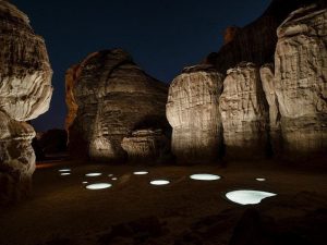 d61abbf127 - الوطن بوست