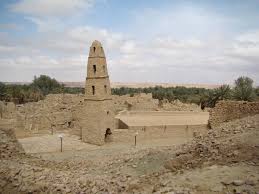 download 5 - الوطن بوست