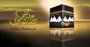 images 1 1 - الوطن بوست