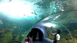 maxresdefault 1 - الوطن بوست