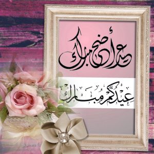 screen 6 - الوطن بوست