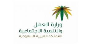 هنا.. رابط تحديث بيانات المستفيدين من الضمان الاجتماعي 1441بالسعودية عبر موقع وزارة العمل والتنمية الاجتماعية