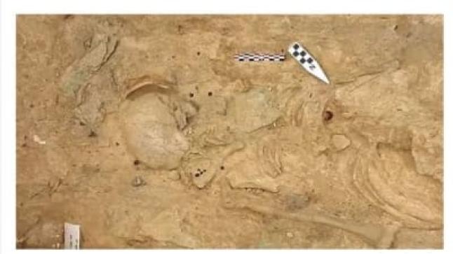 بعد 30 عاما من البحث .. مستكشفان متزوجان يعثران على كنز ثمين في اليونان