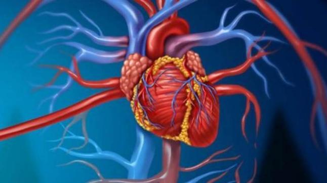 “انسداد الشرايين” .. قائمة بالأسباب والمخاطر والنصائح لتجنب الموت