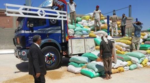 ارتفاع كميات القمح المحلي الموردة من المزارعين لتقترب من حاجز 2 مليون طن