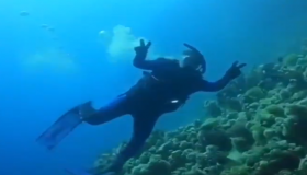 غواص سعودي يلتقط مناظر خلابة للشعاب المرجانية بمشروع “أمالا”