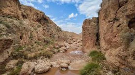 عاجل.. تأجيل قضية مسارات طريق الحمصة