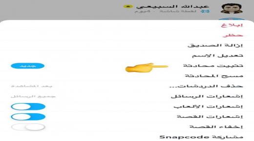 تعرف على طريقة تثبيت المحادثات النصية في تطبيق الرسائل في iOS 14