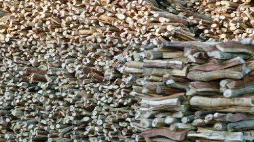 وزارة الزراعة تمنع بيع الفحم أو الترويج إليه بدون تراخيص