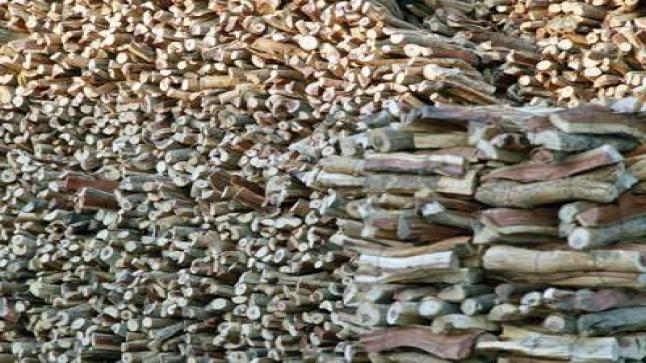 وزارة الزراعة تمنع بيع الفحم أو الترويج إليه بدون تراخيص