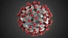 متى تصل السعودية إلى صفر في تسجيل إصابات فيروس كورونا