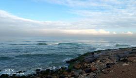 النائب محمد أبو هميلة يقترح بيع شاطىء النخيل لشركة خاصة من أجل الحفاظ على أرواح المواطنين