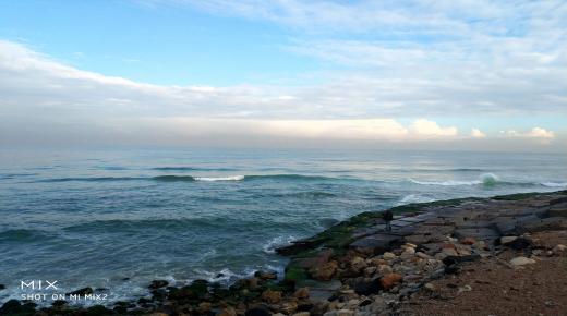 النائب محمد أبو هميلة يقترح بيع شاطىء النخيل لشركة خاصة من أجل الحفاظ على أرواح المواطنين