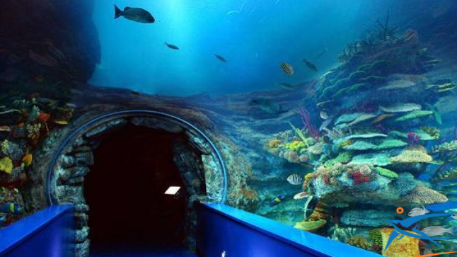 المتحف المائي بجدة.. واجهة سياحية رائعة