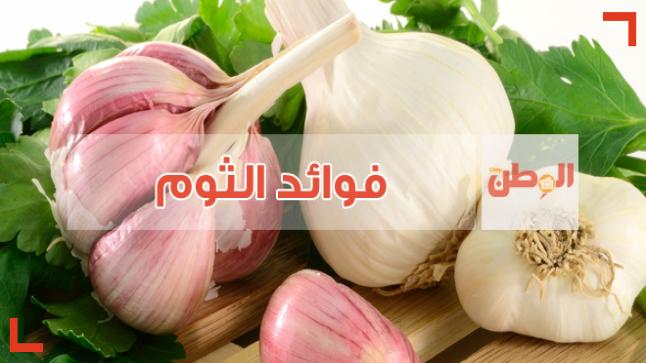 فوائد الثوم وأضراره كاملة تعرف عليها