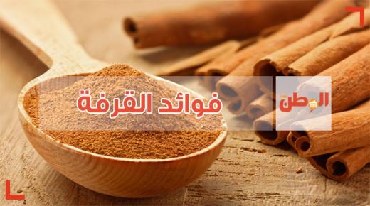 فوائد القرفة و أضرارها تعرف عليها كاملة