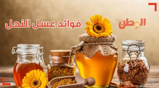 فوائد عسل النحل كاملة تعرف عليها